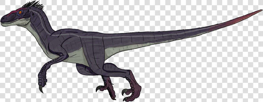 Jurassic Park 3 Male Velociraptor Clipart   Png Download   Jurassic Park 3 Male Raptor  Transparent PngTransparent PNG