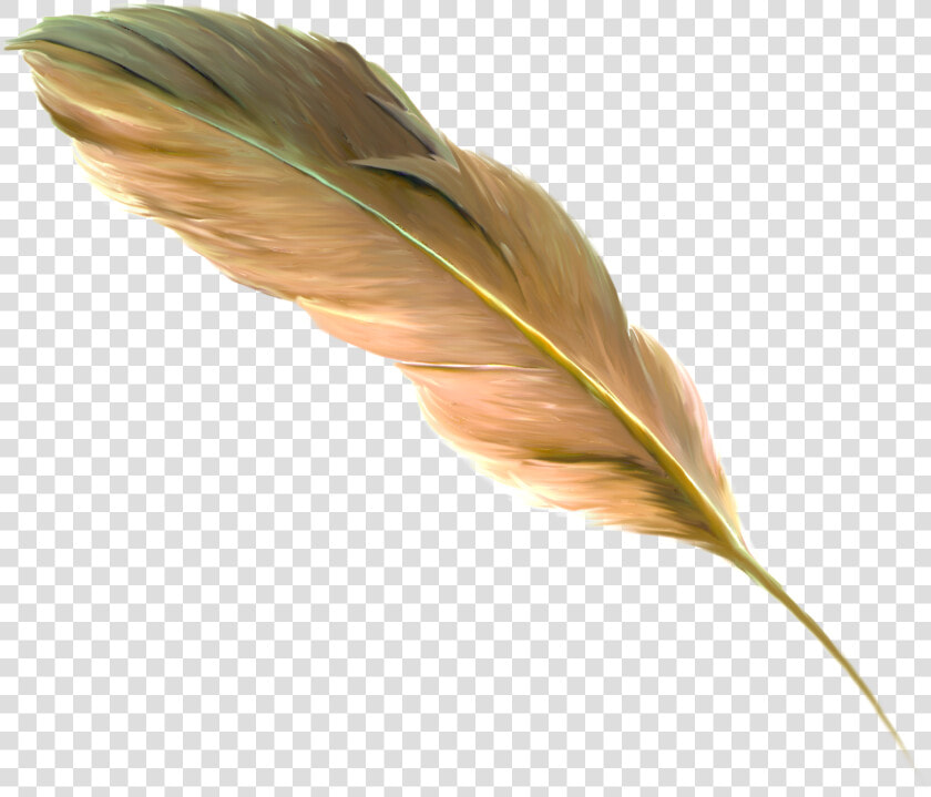 The Floating Feather Brown   Png Transparent Feather Drawing Golden  Png DownloadTransparent PNG