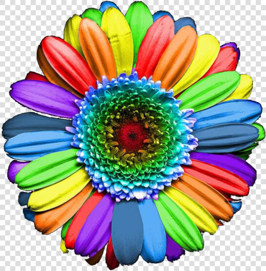 Thumb Image   Rainbow Colours Flowers  HD Png DownloadTransparent PNG