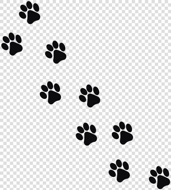 Footprint  Animal  Cat   Transparent Background Paw Prints  HD Png DownloadTransparent PNG