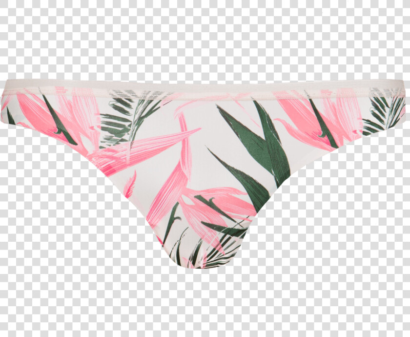 Panties  HD Png DownloadTransparent PNG