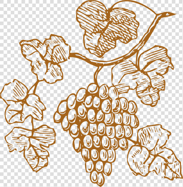 Transparent Grapes Clipart Png   Grapes Clipart  Png DownloadTransparent PNG