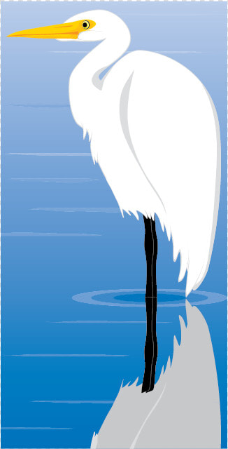 Egret Bird Vector Clip Art   Great Egret  HD Png DownloadTransparent PNG