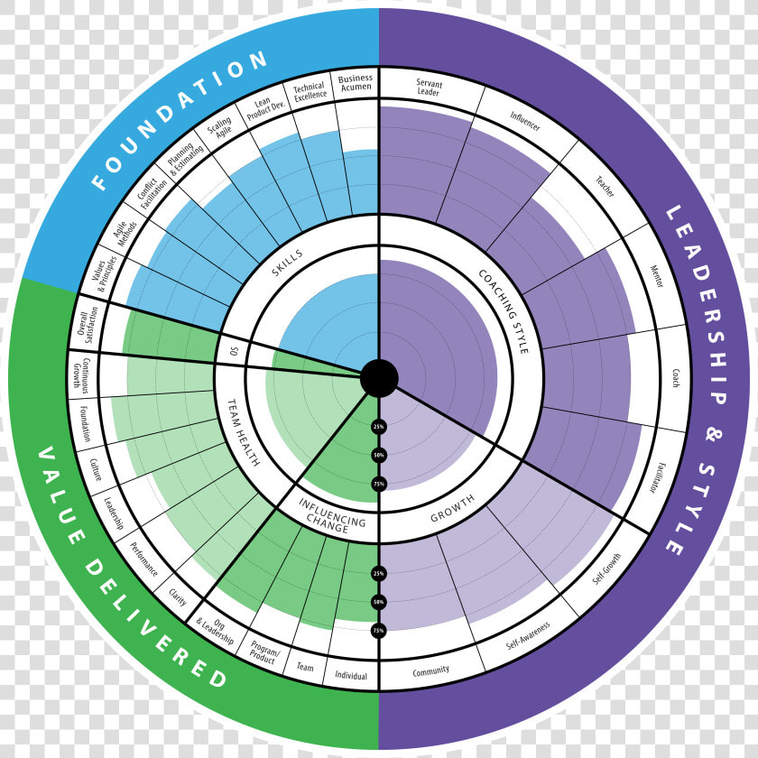 Agile Coach Health Radar  HD Png DownloadTransparent PNG