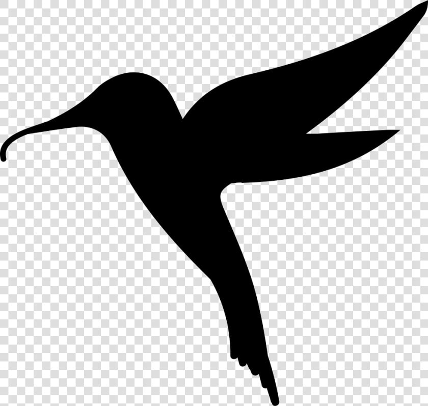 Hummingbird Bird Shape   Siluetas Caballitos De Mar  HD Png DownloadTransparent PNG