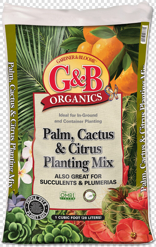 Palm And Cactus   Gardner And Bloome  HD Png DownloadTransparent PNG