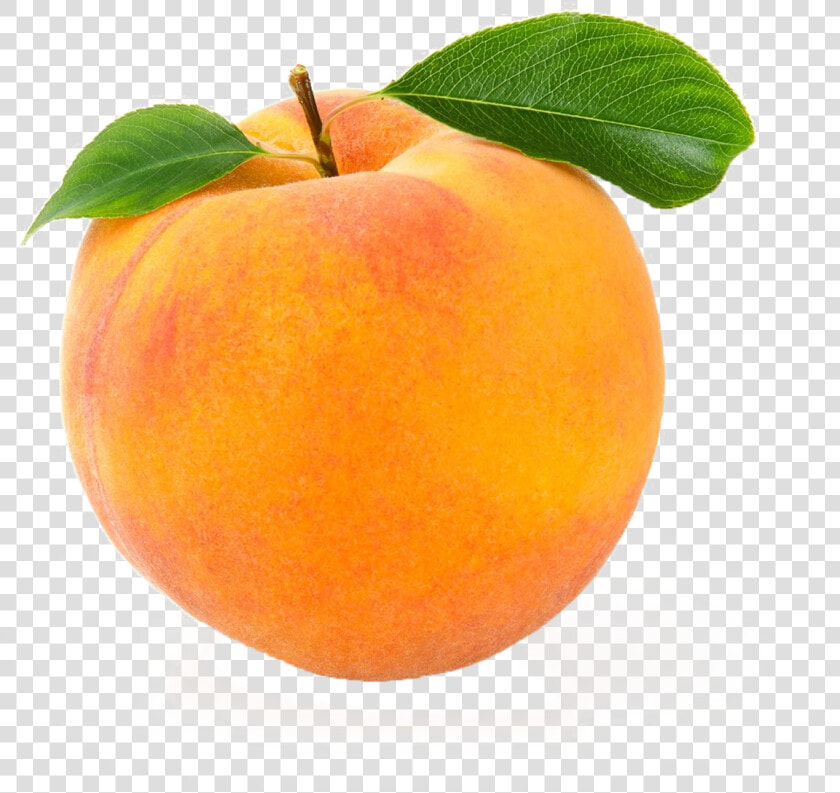 Peach Png Image Download   Individual White Background Fruits And Vegetables  Transparent PngTransparent PNG