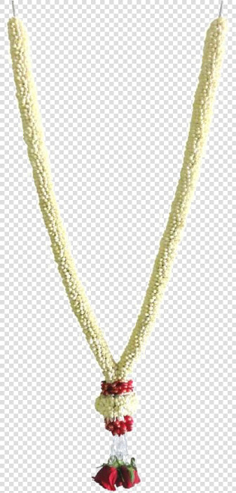 Jasmine Garland Png Image   Simple Jasmine Garland  Transparent PngTransparent PNG