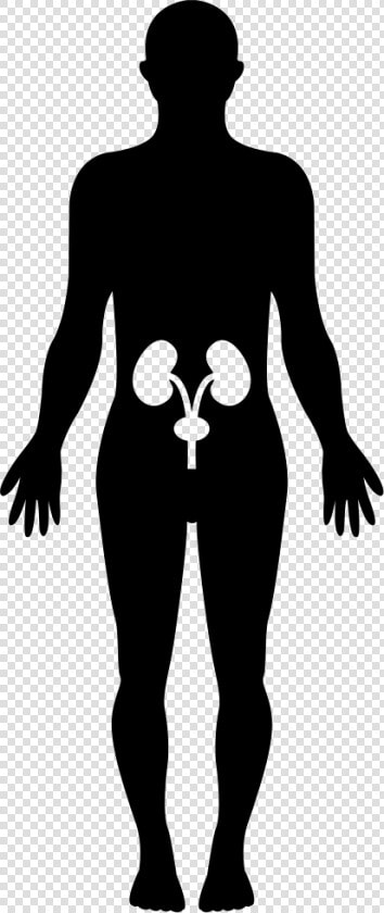 Human Hips Bones Inside A Standing Male Body Black   Silueta De Un Ser Humano  HD Png DownloadTransparent PNG