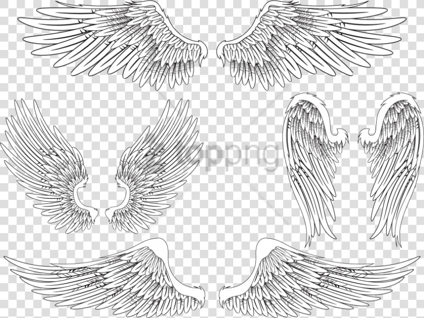 Free Png Download Angel Wing Bird Feather Png Images   Realistic Angel Wings Drawing  Transparent PngTransparent PNG