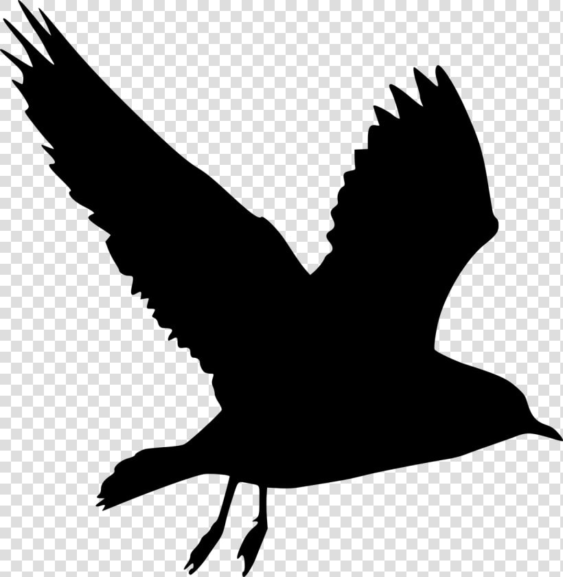 Silhouette  Bird  Peace  Dove  Flying  Olive  Branch   Bird Flying Silhouette Art  HD Png DownloadTransparent PNG