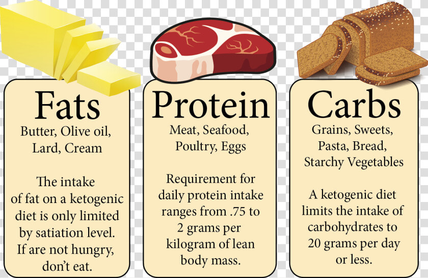 Types Of Food Fat Carbohydrates  HD Png DownloadTransparent PNG