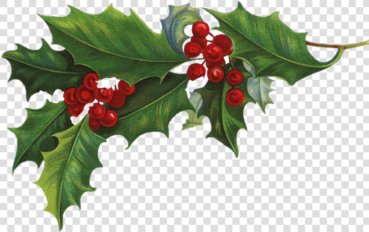 Freetoedit Garlands Christmas Christmastree Christmastime   Holly Transparent Background  HD Png DownloadTransparent PNG