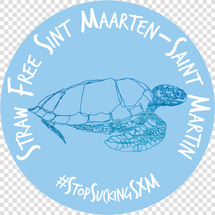 Transparent Snapping Turtle Png   Tooth Fairy  Png DownloadTransparent PNG