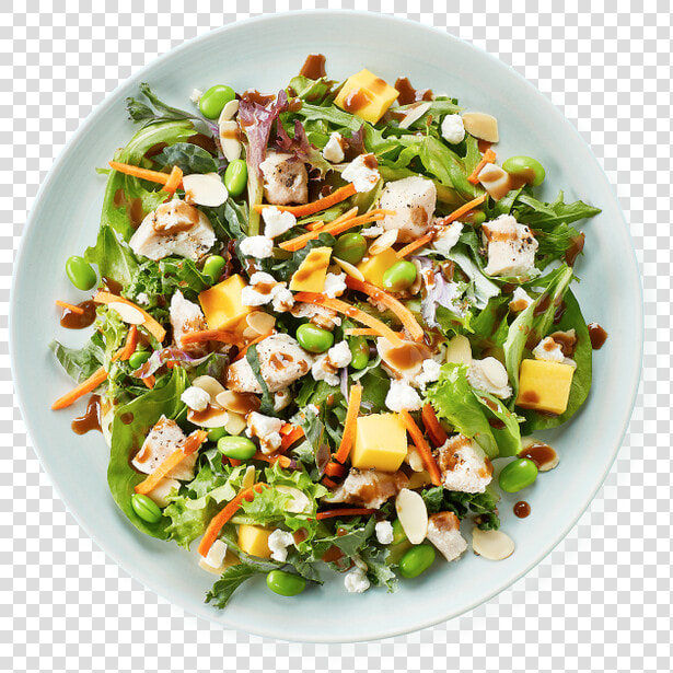 Metaboost Salad   Caesar Salad Dressing Epicurious  HD Png DownloadTransparent PNG