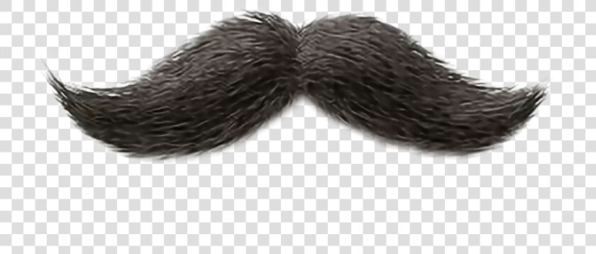  bigote   Усы Пнг  HD Png DownloadTransparent PNG