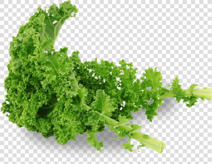 Free Png Kale Png Images Transparent   Kale Png  Png DownloadTransparent PNG