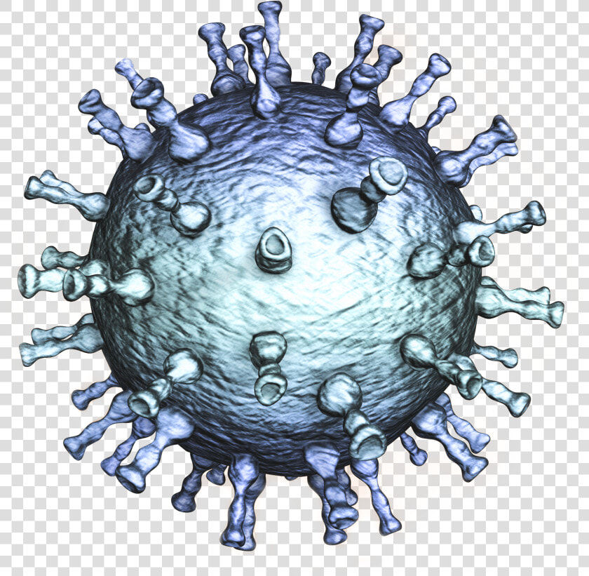 Varicella Zoster Virus  HD Png DownloadTransparent PNG