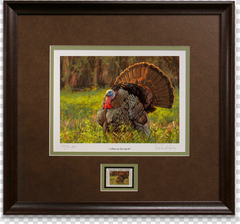 Ryan Kirby Turkey Nwtf 2016 Framed Stamp Print A Place  HD Png DownloadTransparent PNG