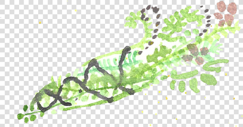 Watercolor Smudge Wand   Sea Lettuce  HD Png DownloadTransparent PNG