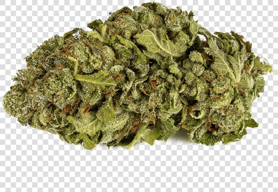 Mango Kush Cbd Flower Bud   Liverwort  HD Png DownloadTransparent PNG