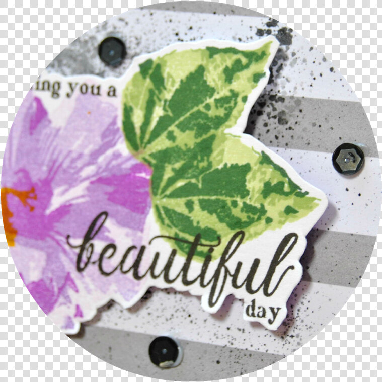 Transparent Perennial Png   Label  Png DownloadTransparent PNG