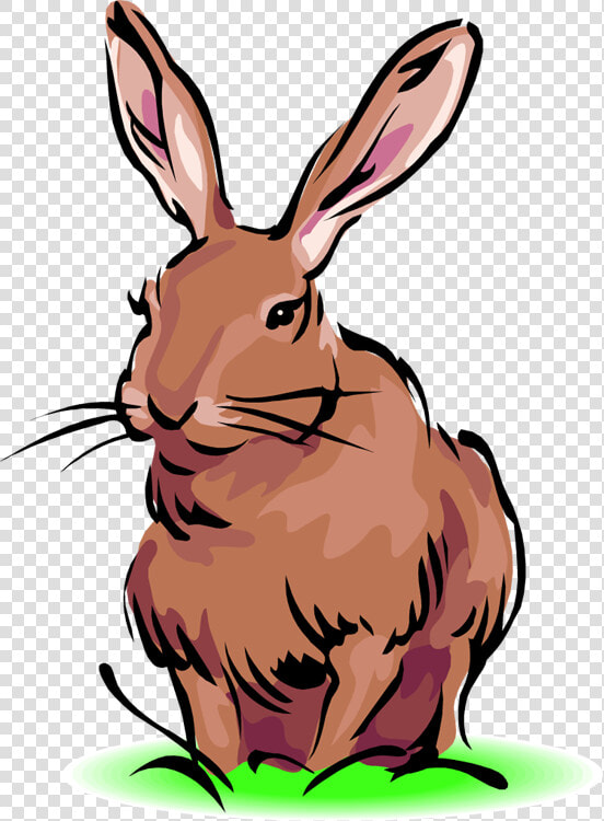 Panda With Bunny Ears   Black Tailed Jackrabbit Cartoon  HD Png DownloadTransparent PNG