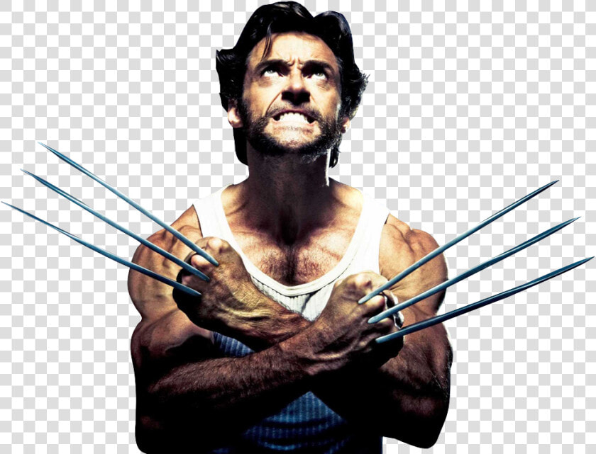 Download Wolverine Png Picture   X Men Origins Wolverine Hair  Transparent PngTransparent PNG