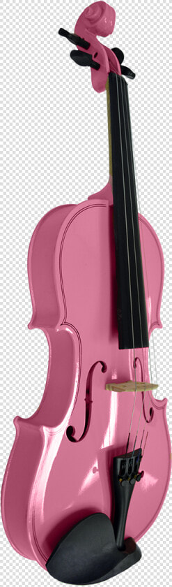 Viola  HD Png DownloadTransparent PNG