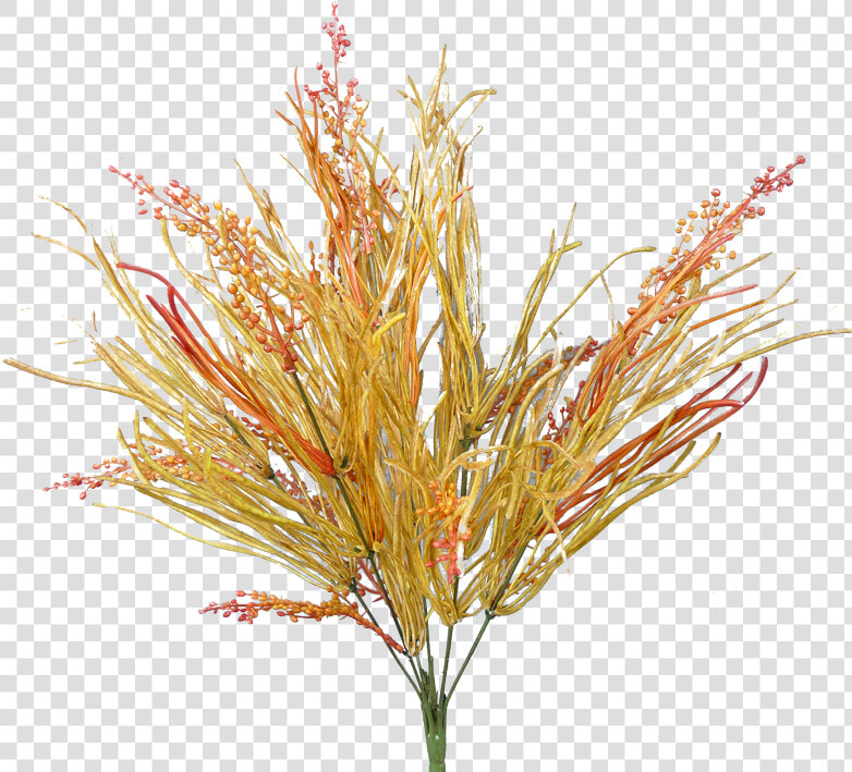 Fall Plastic Leaf Berry Bush   Grass  HD Png DownloadTransparent PNG