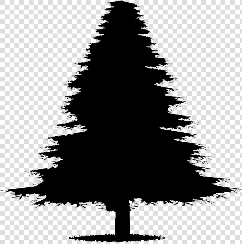 Fir Tree Silhouette   Animated Silhouette Christmas Trees  HD Png DownloadTransparent PNG