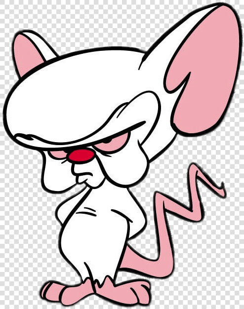 Pinky And The Brain Transparent  HD Png DownloadTransparent PNG