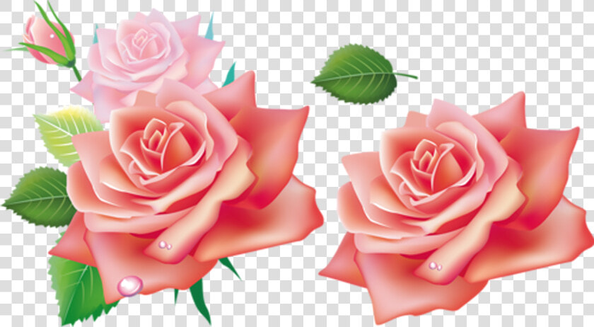 Clip Art Rosadas For Free   3d Flowers Png Hd  Transparent PngTransparent PNG