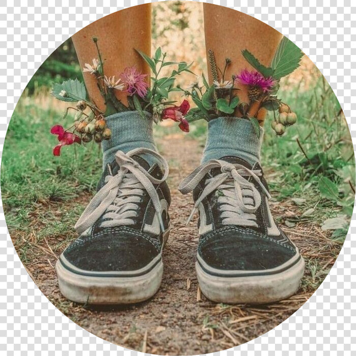  vans  vansofthewall  vansoffthewall  shoes  icon  icons   Flowers And Shoes Aesthetic  HD Png DownloadTransparent PNG