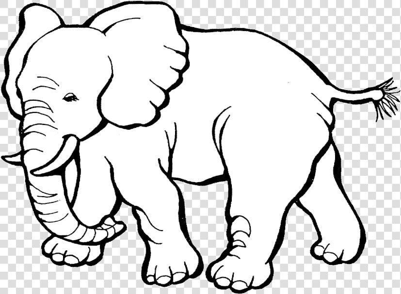 Elephant Image Result For Black And White Elephants   Elephant Black And White  HD Png DownloadTransparent PNG