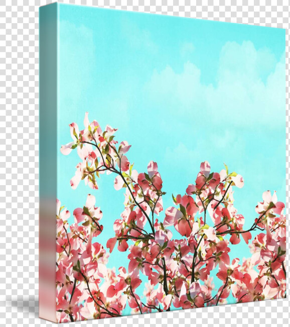 Pink Dogwood Canvas  HD Png DownloadTransparent PNG