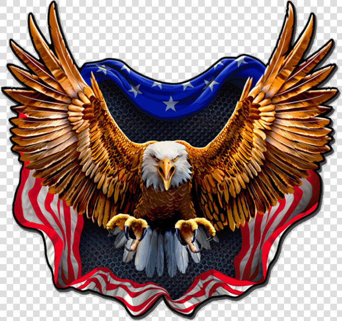 Badass Eagle  HD Png DownloadTransparent PNG