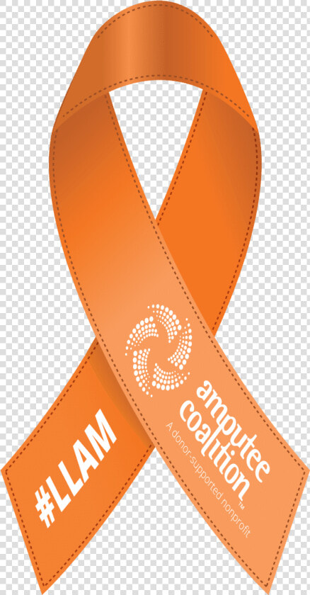 Download And Post Your Own Llam Ribbon   Leather  HD Png DownloadTransparent PNG