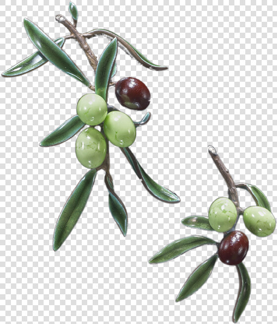 Joyas   Olive  HD Png DownloadTransparent PNG