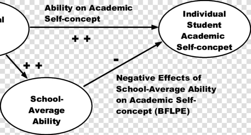 Path Model Predictions Based On The Big Fish Little  HD Png DownloadTransparent PNG