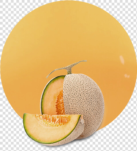 Honeydew  HD Png DownloadTransparent PNG