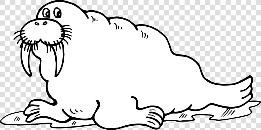 Cute Walrus Png Black And White Free   Walrus Clipart Black And White  Transparent PngTransparent PNG