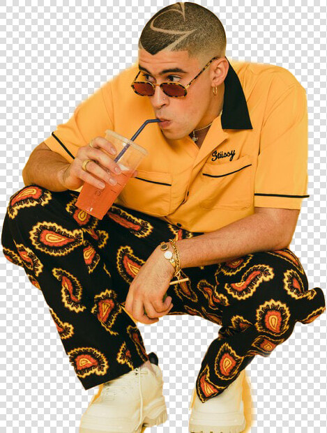 Bad Bunny Png Transparent Image   2019 De Bad Bunny  Png DownloadTransparent PNG