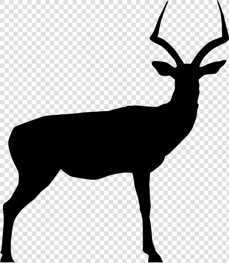 50s Clipart Impala 3 Deer Skull Drawing Deer Rack Silhouette   Impala Silhouette Clipart  HD Png DownloadTransparent PNG