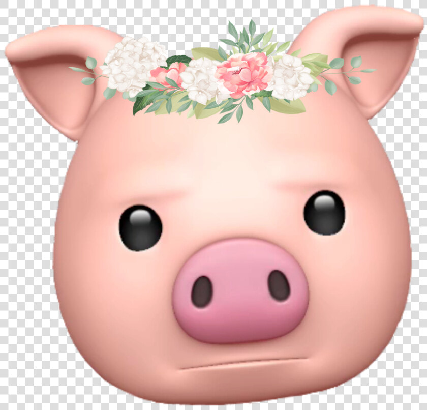  pig  emoji  emojisticker  iphonex   Domestic Pig  HD Png DownloadTransparent PNG