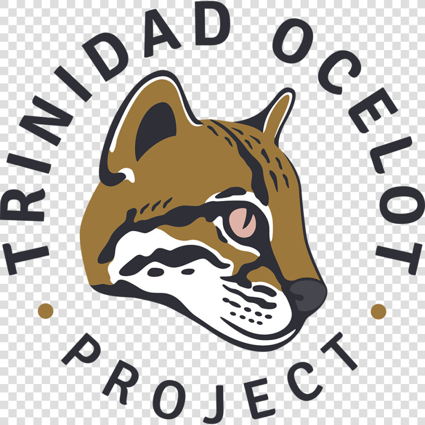 Trinidad Ocelot Project  HD Png DownloadTransparent PNG