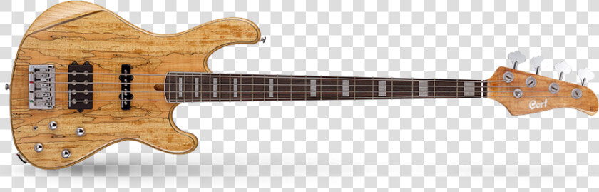 1958 Mary Kaye Stratocaster  HD Png DownloadTransparent PNG