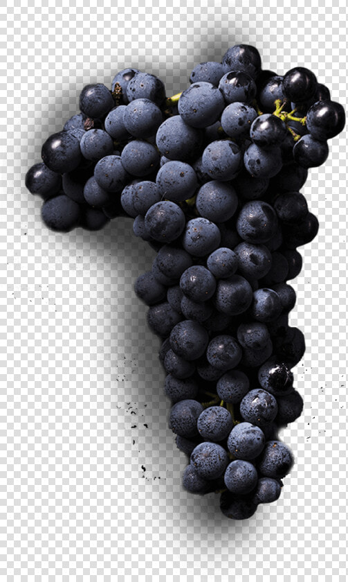 Central Otago Winery   Seedless Fruit  HD Png DownloadTransparent PNG