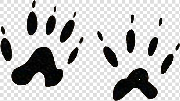 Footprints Animal Tatoo Wild Pawns Freetoedit   Mussel  HD Png DownloadTransparent PNG