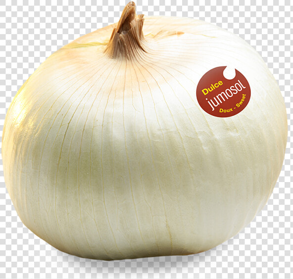 Cebolla De Fuentes De Ebro  HD Png DownloadTransparent PNG